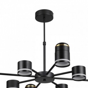 Люстра на штанге Lumion Virsava 8234/8C в Кудымкаре - kudymkar.ok-mebel.com | фото 5