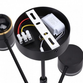 Люстра на штанге Lumion Virsava 8234/8C в Кудымкаре - kudymkar.ok-mebel.com | фото 7
