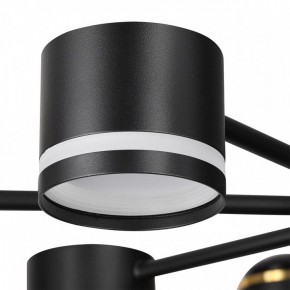 Люстра на штанге Lumion Virsava 8234/8C в Кудымкаре - kudymkar.ok-mebel.com | фото 8