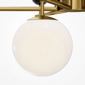 Люстра на штанге Maytoni Museo MOD436PL-07BS в Кудымкаре - kudymkar.ok-mebel.com | фото 4
