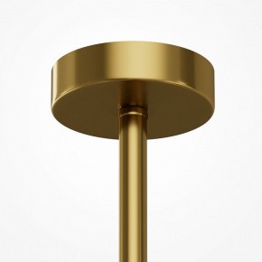 Люстра на штанге Maytoni Museo MOD436PL-07BS в Кудымкаре - kudymkar.ok-mebel.com | фото 5