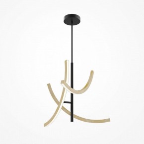 Люстра на штанге Maytoni Wabi MOD428PL-L27BK в Кудымкаре - kudymkar.ok-mebel.com | фото 5