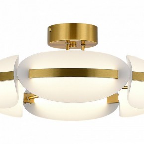Люстра на штанге ST-Luce ETOILE SL1304.302.45 в Кудымкаре - kudymkar.ok-mebel.com | фото 4