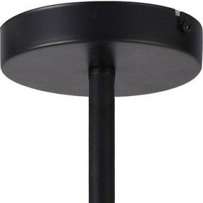 Люстра на штанге TopLight Jemimah TL1216D-08BL в Кудымкаре - kudymkar.ok-mebel.com | фото 5
