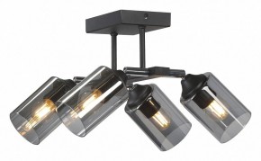 Люстра на штанге Vitaluce V2833 V2833-1/4PL в Кудымкаре - kudymkar.ok-mebel.com | фото