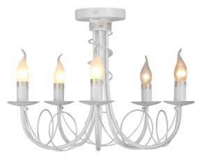 Люстра на штанге Vitaluce V3035 V3035-0/5PL в Кудымкаре - kudymkar.ok-mebel.com | фото 2