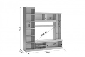 МАКСИ К1 Стенка для гостиной в Кудымкаре - kudymkar.ok-mebel.com | фото 3