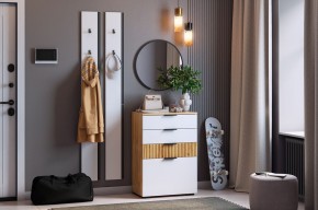 МЕБЕЛЬСОН К21 Прихожая (белое дерево) в Кудымкаре - kudymkar.ok-mebel.com | фото