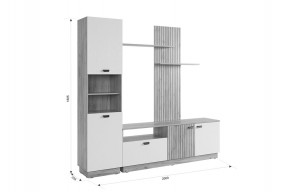 МОДИ К1 Гостиная (белое дерево) в Кудымкаре - kudymkar.ok-mebel.com | фото 2