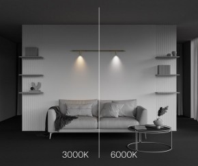 Модульный светильник Maytoni Focus LED C102CL-3W3-6K-BS в Кудымкаре - kudymkar.ok-mebel.com | фото 4