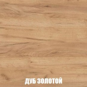 МСП-1 Шкаф 2-х створчатый (Дуб Золотой/Камень темный) в Кудымкаре - kudymkar.ok-mebel.com | фото 4