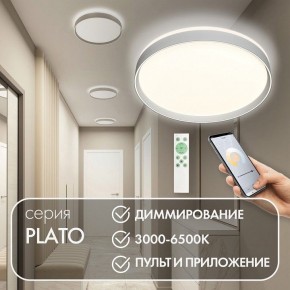 Накладной светильник Denkirs PLATO DK6511-WH/1 в Кудымкаре - kudymkar.ok-mebel.com | фото 4