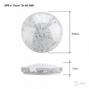 Накладной светильник Эра Классик SPB-6-24-4K (C) в Кудымкаре - kudymkar.ok-mebel.com | фото 6