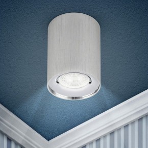 Накладной светильник Эра  OL1 GU10 SL/CH в Кудымкаре - kudymkar.ok-mebel.com | фото 3
