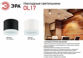 Накладной светильник Эра OL17 GX53 BK Б0049028 в Кудымкаре - kudymkar.ok-mebel.com | фото 3