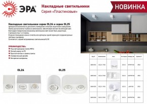 Накладной светильник Эра OL24-2 WH Б0054382 в Кудымкаре - kudymkar.ok-mebel.com | фото 2