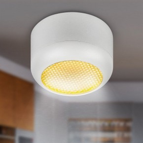 Накладной светильник Эра  OL56 WH в Кудымкаре - kudymkar.ok-mebel.com | фото 8