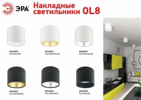 Накладной светильник Эра OL8 GX53 WH/GD Б0048536 в Кудымкаре - kudymkar.ok-mebel.com | фото 4