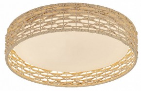 Накладной светильник F-promo Conrad 4749-4C в Кудымкаре - kudymkar.ok-mebel.com | фото 2