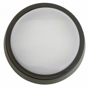 Накладной светильник Feron AL3020 51474 в Кудымкаре - kudymkar.ok-mebel.com | фото 4
