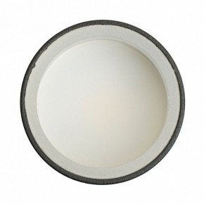 Накладной светильник Feron ML100 51369 в Кудымкаре - kudymkar.ok-mebel.com | фото 8