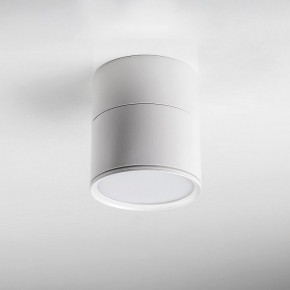 Накладной светильник Lightstar Acuto 215886 в Кудымкаре - kudymkar.ok-mebel.com | фото 3