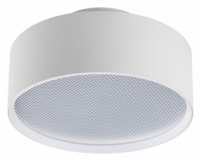 Накладной светильник Lightstar Acuto 215936 в Кудымкаре - kudymkar.ok-mebel.com | фото