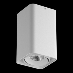 Накладной светильник Lightstar Monocco 052136-IP65 в Кудымкаре - kudymkar.ok-mebel.com | фото 2
