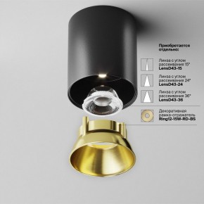 Накладной светильник Maytoni Alfa LED C064CL-12W4K-RD-B в Кудымкаре - kudymkar.ok-mebel.com | фото 3