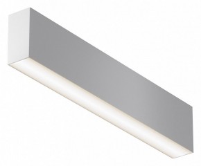 Накладной светильник Maytoni Basis C068CL-20W3-6K-W в Кудымкаре - kudymkar.ok-mebel.com | фото