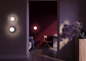Накладной светильник Maytoni Careless MOD403WL-01GR в Кудымкаре - kudymkar.ok-mebel.com | фото 4