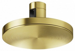 Накладной светильник Maytoni Plato TR152-1-7W4K-BS в Кудымкаре - kudymkar.ok-mebel.com | фото