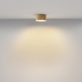 Накладной светильник Maytoni Zon C032CL-12W2.7K-RD-MG в Кудымкаре - kudymkar.ok-mebel.com | фото 4