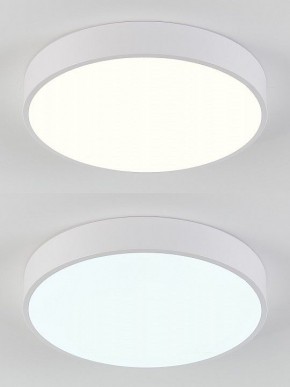 Накладной светильник Natali Kovaltseva  LED LAMPS 81111/5C в Кудымкаре - kudymkar.ok-mebel.com | фото 4