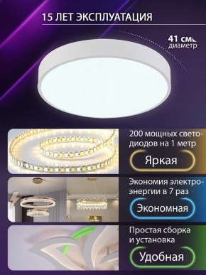 Накладной светильник Natali Kovaltseva  LED LAMPS 81111/5C в Кудымкаре - kudymkar.ok-mebel.com | фото 5