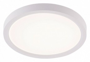 Накладной светильник Natali Kovaltseva PLAIN LED LAMPS 81113/1C в Кудымкаре - kudymkar.ok-mebel.com | фото