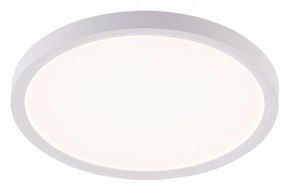 Накладной светильник Natali Kovaltseva PLAIN LED LAMPS 81113/2C в Кудымкаре - kudymkar.ok-mebel.com | фото