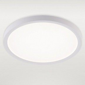 Накладной светильник Natali Kovaltseva PLAIN LED LAMPS 81113/2C в Кудымкаре - kudymkar.ok-mebel.com | фото 2