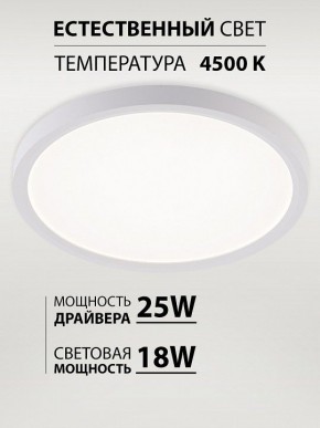Накладной светильник Natali Kovaltseva PLAIN LED LAMPS 81113/2C в Кудымкаре - kudymkar.ok-mebel.com | фото 3