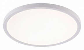 Накладной светильник Natali Kovaltseva PLAIN LED LAMPS 81113/3C в Кудымкаре - kudymkar.ok-mebel.com | фото