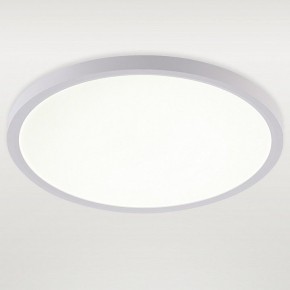 Накладной светильник Natali Kovaltseva PLAIN LED LAMPS 81113/3C в Кудымкаре - kudymkar.ok-mebel.com | фото 2
