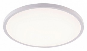 Накладной светильник Natali Kovaltseva PLAIN LED LAMPS 81113/5C в Кудымкаре - kudymkar.ok-mebel.com | фото