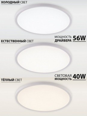 Накладной светильник Natali Kovaltseva PLAIN LED LAMPS 81113/5C в Кудымкаре - kudymkar.ok-mebel.com | фото 3