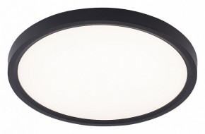 Накладной светильник Natali Kovaltseva PLAIN LED LAMPS 81114/2C в Кудымкаре - kudymkar.ok-mebel.com | фото
