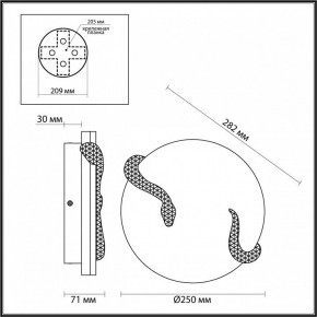 Накладной светильник Odeon Light Snake 7033/10WL в Кудымкаре - kudymkar.ok-mebel.com | фото 4