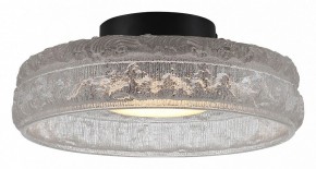 Накладной светильник ST-Luce ANTIKE SL6143.402.01 в Кудымкаре - kudymkar.ok-mebel.com | фото 2