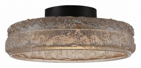 Накладной светильник ST-Luce ANTIKE SL6143.422.01 в Кудымкаре - kudymkar.ok-mebel.com | фото 4