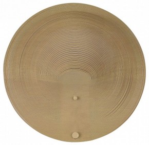 Накладной светильник ST-Luce Fossil SL6900.501.16 в Кудымкаре - kudymkar.ok-mebel.com | фото