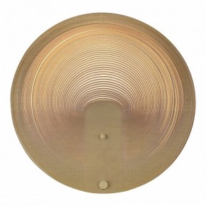 Накладной светильник ST-Luce Fossil SL6900.501.16 в Кудымкаре - kudymkar.ok-mebel.com | фото 2