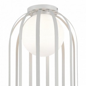 Накладной светильник ST-Luce Nordic SL6129.502.01 в Кудымкаре - kudymkar.ok-mebel.com | фото 4